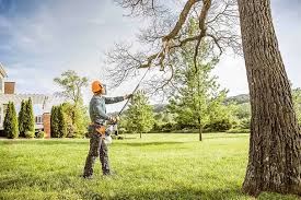 Gardner, KS Tree Services Company